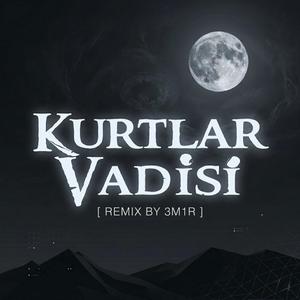 Kurtlar Vadisi (Remix)