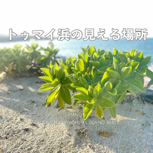 トゥマイ浜の見える場所
