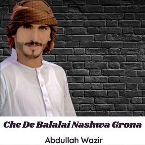 Che De Balalai Nashwa Grona