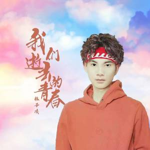 我们逝去的青春