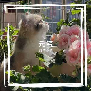 8月11日