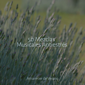 Vals de las Sílfides Encantadas