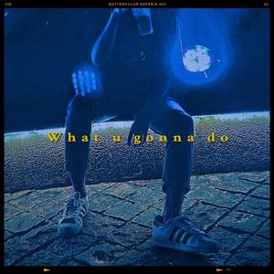 What u gonna do