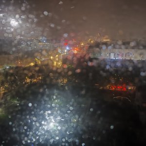 《车窗雨幕中回到你的眼眸》熊猫-悲伤 (1)