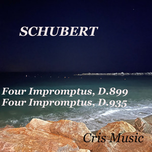 Schubert: Four Impromptus, D.899, 1. No. 1 in C minor