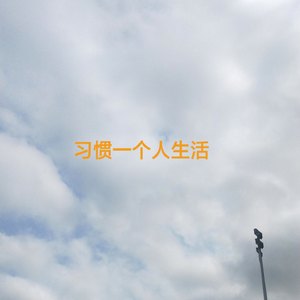 习惯一个人生活