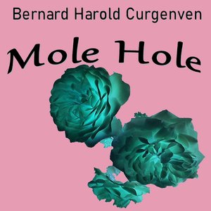 Mole Hole