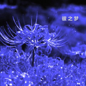 彼之梦 post rock
