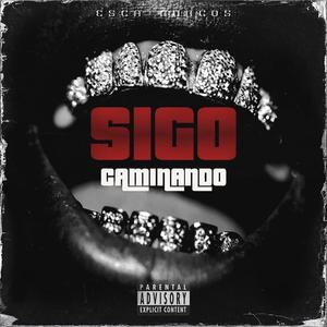 Sigo Caminando