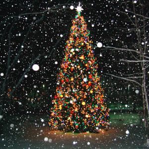 Alone on Christmas Eve