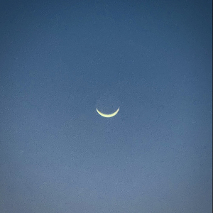 All My Xs Live in Texas