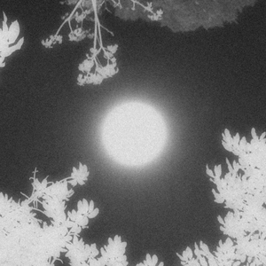 蜕尘之海(Prod.by AZYAIRE)