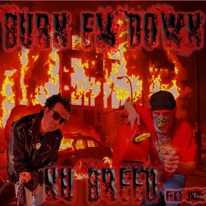 Burn em down (feat. JMBK)