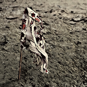 カエロスティウム