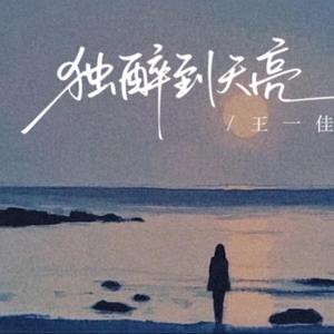 独醉到天亮(想找个没人的地方）（DJ）