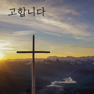 고합니다