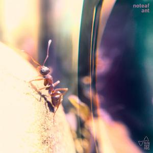 Sixty Four (feat. MURRA)