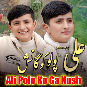 Ali Polo Ko Ga Nush