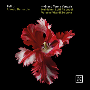 Concerto per l’orchestra di Dresda in G Minor, RV 577: II. Largo
