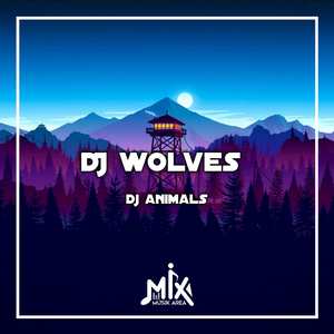 DJ Wolves