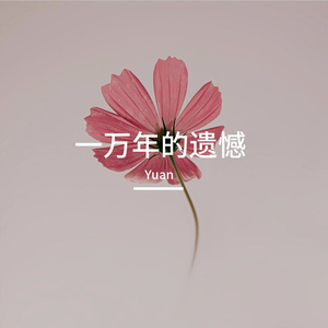 一万年的遗憾