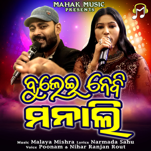 Bulei Nebi Manali