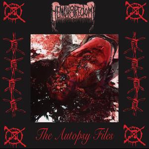 Hemorrhagic Cystitis with Diffuse Urothelial Ulceration (Gore chapter 1,2,3)