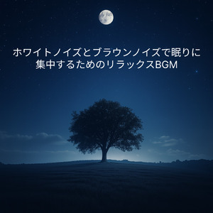 究極のホワイトノイズで超熟睡確定