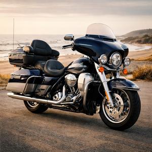 Harley odyssey feeling wild