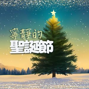 星光燦爛的聖誕夜