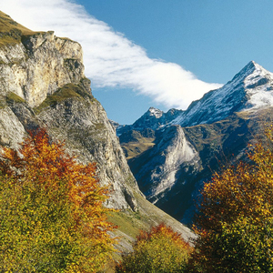 我试着抄袭以前的自己