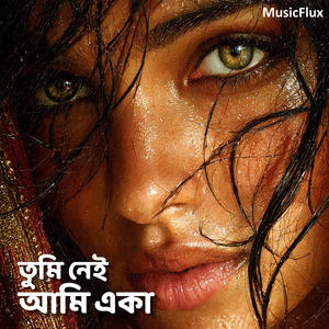 তুমি নেই আমি একা
