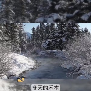 我期待的不是你