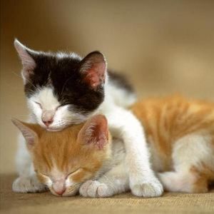 追寻之旅，不必多想