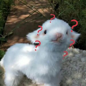 快乐指南（Cover,孙悦）