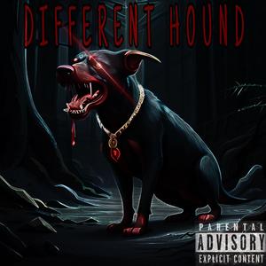 Different Hound