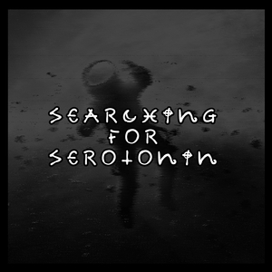 Searching for Serotonin