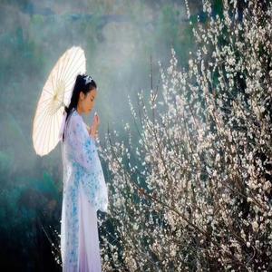 落叶缤纷(八音盒)