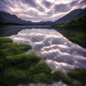 阳光下的拥抱