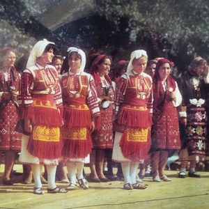 Горо ле, горо зелена