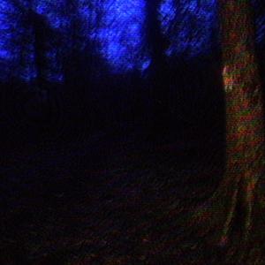 my soul is slowly rotting away