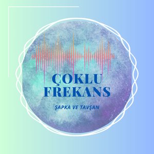Çoklu Frekans
