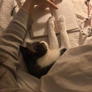 晚睡的姑娘-弹唱版