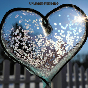 Un Amor Perdido