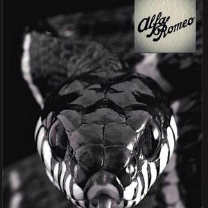 Alfa romeo (feat. Elete)
