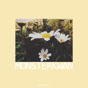 天上的星 地上的花