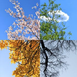 夏日循环（悠扬版）