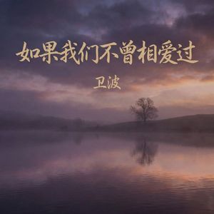 如果我们不曾相爱过(伴奏)