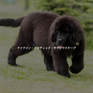 Deluxe Music for Aura Cafe