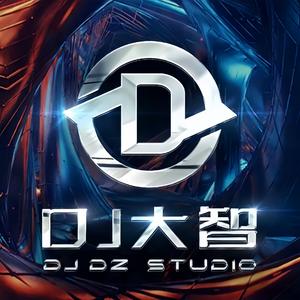 等你有了电动车（DJ版）